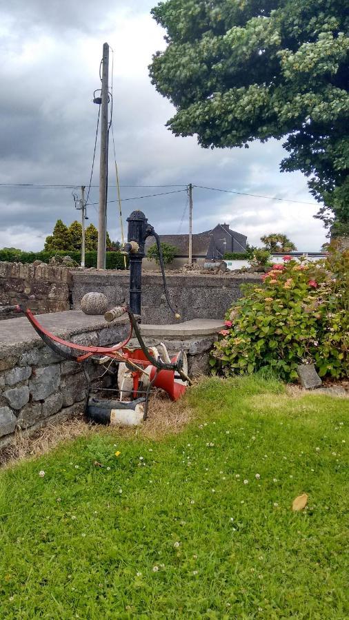 Grannagh Castle House Bed & Breakfast Waterford Exterior photo